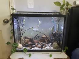 Aquarium Forum