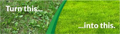 People always think that lawn fertilizing companies are over priced, but you may find that lawn fertilizing companies cost about the same per treatment as the fertilizer you would have to. Vibrant Lawn Care Professional Services And Treatments Kent