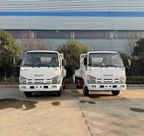 ISUZU Small 3 Ton Dump Truck