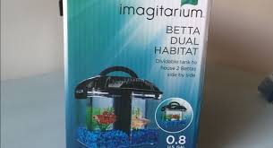 Starter Betta Fish Tank Kit Updated Betta Fish Tank Betta Fish Betta