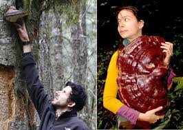 CMS Field Trip Leaders