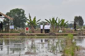 Maybe you would like to learn more about one of these? Pengembangan Food Estate Dengan Drone Hingga Traktor Apung