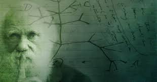 In Praise of Charles Darwin: Recommended Children's Books about Evolution