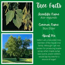 Maybe you would like to learn more about one of these? Advantage Tree Service Quad Cities Home Facebook