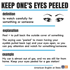 Keep One S Eyes Pilled Avec Images Apprendre L Anglais Vocabulaire