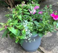 From a quick look at the changes made in the previous series, you can expect an impressive result if you're to be chosen for a love your garden makeover. Time Is Running Out To Enter Pollokshields Garden Makeover Contest Here S How To Apply Glasgow Times