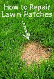 Pin By Jhill On Lawn Care Tips Lawn And Garden Garden Yard Ideas Lawn Care