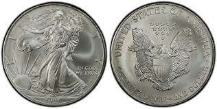 Image result for Silver Grey 1997 AAV