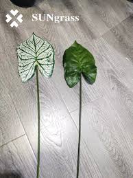 We did not find results for: China Artificial Palm Monstera Leaves Artificial Plants Tree Leaf Indoor Outdoor Home Bedroom Party Wedding Decor China Artificial Plants And Artificial Plant Price