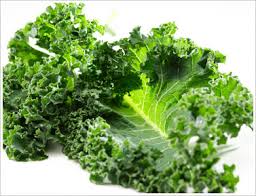  Orange County Boot Camp Talks Top Superfoods To Include In Your Diet