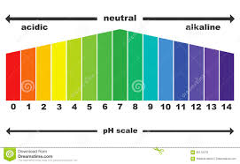 Ph Scale Value Isolated Stock Vector Illustration Of