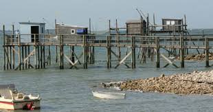 Pin On Poitou Charentes Charente Maritime