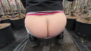 @ColombinaProds video Tweet