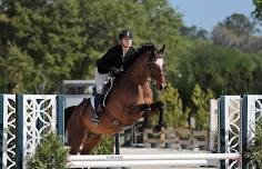 Festival of the Horse™ – Ocala