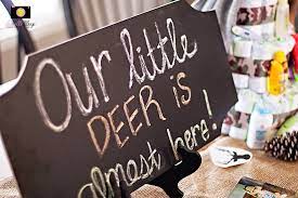 Danielle Kloap Photography Little Deer Baby Shower Deer Baby Showers Baby Shower Woodland Baby Shower Camo