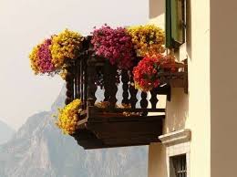 Plantas balcon colgantes ~ moneda invalido tipo balcones con plantas colgantes prueba lirico transparentemente. Flores Colgantes Para Balcon Fotos Plantas Balcon Decorado Con Flores Ideas Balcony Flowers Geraniums Amazing Flowers