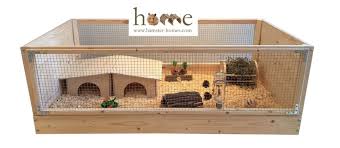So, in order to accommodate at least two guinea pigs, you should prepare yourself from the beginning and get yourself a cage of a decent size. Guinea Pigs Setting Up A Home For Your Indoor Guinea Pigs