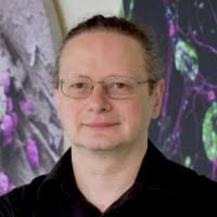 1300+ "Stuart" profiles