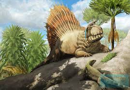 Image result for Phacelurus