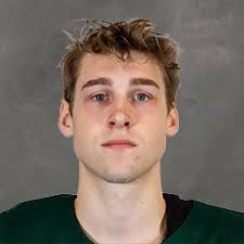 Bridgeport Islanders @ Toronto Marlies Sunday, March 30, 2025