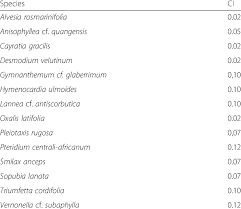 Image result for Triumfetta angolensis