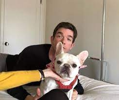 Please download one of our supported browsers. Netflix Is A Joke On Twitter John Mulaney Claims To Have A Dog But Have You Ever Seen Petunia And Bruley In The Same Room