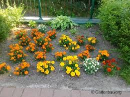 Gemusegarten anlegen fur anfanger anleitung inkl plan gemusegarten anlegen bepflanzung garten. Was Gibt Es Beim Blumenbeet Anlegen Zu Beachten