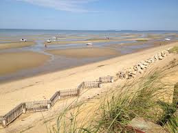 The Best Beaches For Running In New England Great Runs