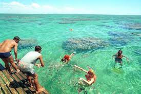 A region of southeast africa on the indian ocean. Maracajau From Natal 2021