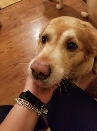 Lost baby and heartbroken