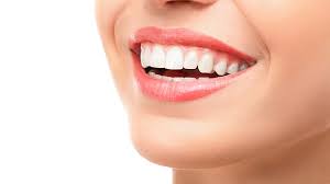 What are the Different Types of Teeth?