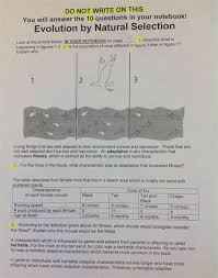Animation, image gallery, video interviews, problem, biographies, and links. Download Evolution By Natural Selection Answer Key Vol 0 4 Removing And Installing The Battery And Battery Cable 13th Google