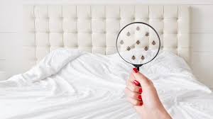 From abington to zelienople, our allstate agents are peppered across pennsylvania with offices that are fixtures in the communities they serve. Does Renters Insurance Cover Bed Bugs Forbes Advisor
