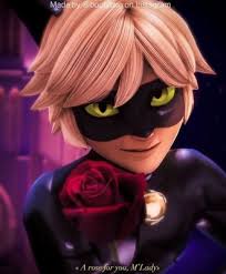 Woman wearing ladybug costume and men black cat costume wallpaper. Chat Noir With Rose 736x890 Wallpaper Teahub Io