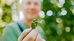 John I. Haas, Inc.‎