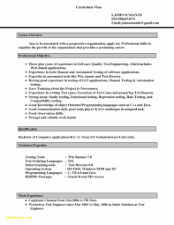 Simple student resume format to download. 11 Resume Format For Job In Phrase File Obtain