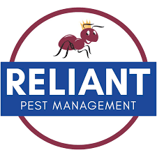 That's why innovative pest solutions is committed. Pest Control During Covid 19 Cary Raleigh Holly Springs Nc Reliant Pest Management