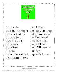 Flower Names Beginning With J Flower Dictionary With Free Printable Flower Posters In Alphabetical Order Common Plan Flower Names Lettering Flower Dictionary