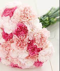 Carnation Bouquet Buket Bunga Buket Bunga