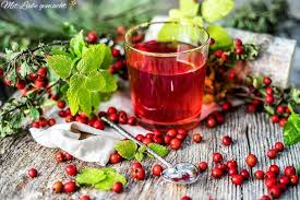 Ein Hoch Auf Die Herzgesundheit Weissdornsirup Mit Melisse Mit Liebe Gemacht In 2020 Sirup Weissdornbeeren Rote Beeren