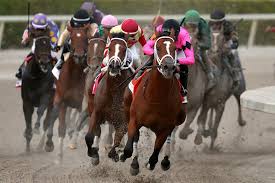 Check out tipsheet review for the latest reviews on all the hottest tipsters. Gulfstream Park Picks Betting Overview For Memorial Day Horseracing Net