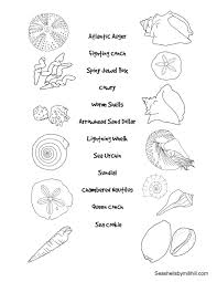 Check spelling or type a new query. Shell 163304 Nature Printable Coloring Pages