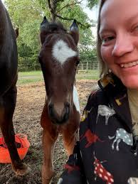 High center or wheat whorl