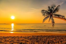 Find tripadvisor traveler reviews of the best oahu's north shore restaurants with a view and search by price, location, and more. Best Places To Catch A Sunset On Oahu