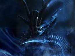 Access and membership requires all visitors to conform to the laws of their own country as well as the site's user agreement.there may be some areas of the site that become unavailable due to the conditions and guidance in effect at that time. Female Xenomorph X Male Reader Lemon 1024x768 Download Hd Wallpaper Wallpapertip