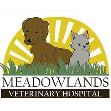 The professional and courteous staff at all about equine veterinary services seeks to provide the best possible medical care, surgical care and dental care for their highlyvalued patients. All About Pets Veterinary Hospital Home Facebook