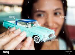 Woman with hawk hi-res stock photography and images