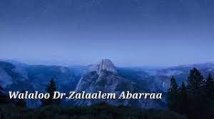 See more of dr zelalem abera on facebook. Walaloo Dr Zalaalem Abarraa New Ethiopian Oromo Poem 2020 Asiif Achi Official Vidio Youtube