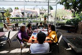 Image result for Verde Fresno 1992 Seat