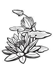 Fleur De Lotus Recherche Google Nenuphar Dessin Peinture De Lotus Fleur De Lotus